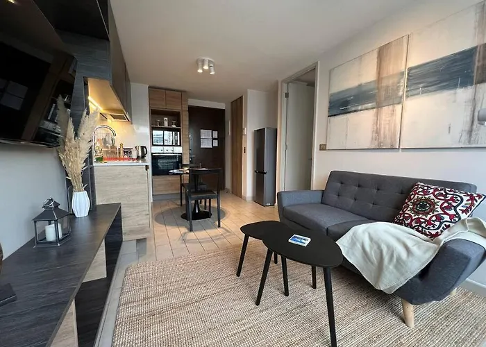 Luxury Apartment At Historic Center Of Santiago